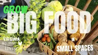 Grow Big Food in Small Spaces! 1/4 Acre Homestead in VA