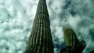 Lo-Fi Road Trip Through Arizona and New Mexico