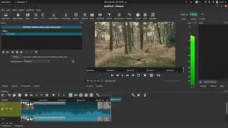 Using 3D LUTs in Shotcut: A Simple Guide