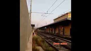 Ale 501 minuetto serale con fischio