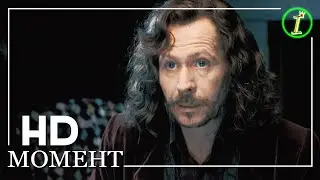 Разговор Гарри и Сириуса | Гарри Поттер. Орден Феникса