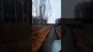 Съездил за грибочками.