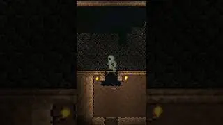 Terraria's Rarest Zombie #shorts