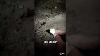 उंद्रा सबोत मित्रता केली..🤔😮😮😯😯😯😯 अस video कुठेच नही पाहला.. 