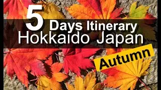 Hokkaido Japan | 5 Days Itinerary in Autumn | Vol.1