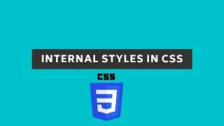 Internal Styles in CSS || How to do internal styles using CSS