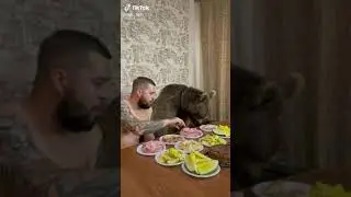 Ужин с Медведем - #shorts