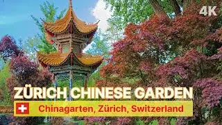 Chinagarten. Exploring the Most Beautiful Chinese Garden in Zurich!