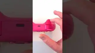 This Made My Hands Cringe - Stoga Strawberry Bear Switch Controller