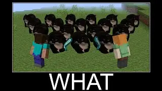 Compilation Maxwell Cats part 5 - wait what meme in Minecraft