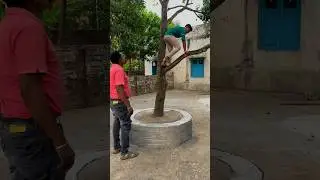 it's so hard to pluck mangoes 😮‍💨 