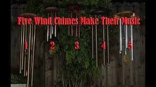 Five Wind Chimes Make Their Music