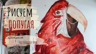 Процесс рисования акварелью |  speedpaint