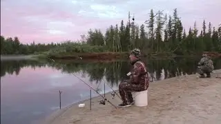 Fish is it can't not be))) PYAKUPUR RIVER! DONKA. SPINNING. IDE. ROACH. PERCH. FISHING 2023