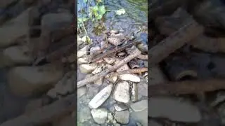 Рыбалка железа в речке Дарья