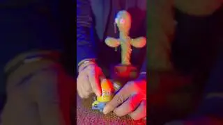 Minion Cactus Rock