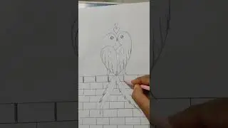 #Drawing#lovebirds
