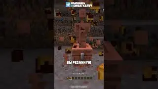 HOW TO SLEEP COPPER GOLEM 