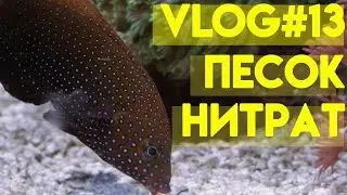 vlog # 13 | результат уборки песка и камней | морской аквариум | нитрат в морском аквариуме |