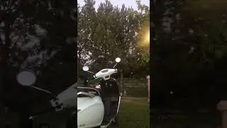 Mondial wing 50 cc
