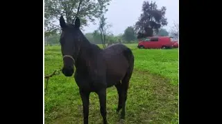 Влог. Хутор Шунтук, Адыгея. Май 2022