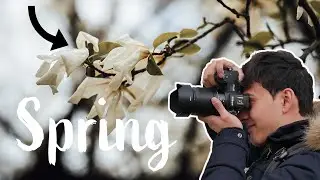 Spring is back and so am I | Photovlog #9