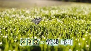 김정호 - 하얀 나비