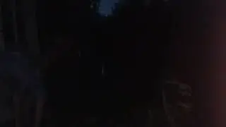 Выстрел из пугача