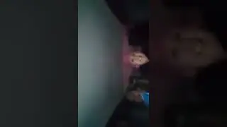 24 ноября 2018 г.