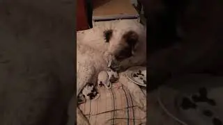 Второй день после родов