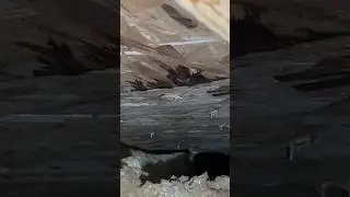 Help! The Roof Is Leaking!