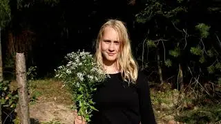 Старинный лес
