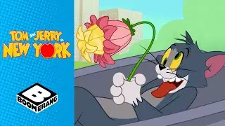 When Jerry Ruined Tom's Romantic Date | Tom & Jerry in New York | Boomerang UK