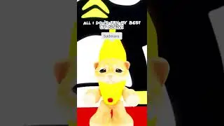 BANANA CAT LOVES SANRIO 💞🤣 #shorts