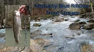 Rainy Day Trout Fishing