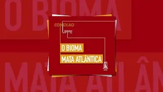 #41 O bioma Mata Atlântica