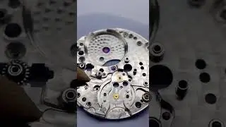 Rolex Watch Tiktok gwswatch