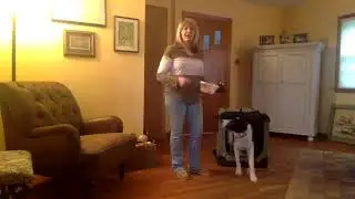 Crate Training with Pamela Dennison