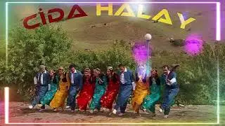Cida Halay