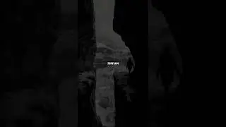 Dil Mera Dekho | Khairiyat ❤ #shorts #khairiyat #viral #sushantsinghrajput #shraddhakapoor