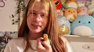 Skalle Per tror Malles hår er en fuglerede 🦜🪹🙈🙊😄