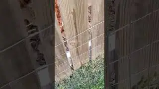 Stop digging!