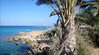 Кипр. Протарас. пляж feeg tree, пляж Cavo Maric, пляж green bay.