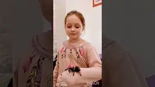 #буднивикулькималенькой