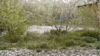Град в Иркутске, 28 мая 2012 года