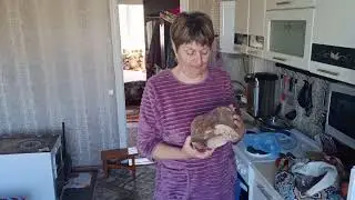Купино/Покупки