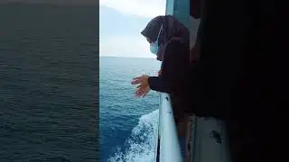 DITENGAH LAUT JAWA🌊
