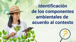Identificación de los componentes ambientales de acuerdo al contexto