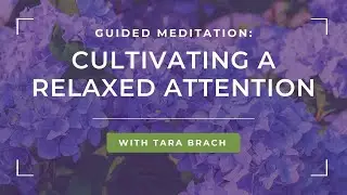 Guided Meditation: Cultivating a Relaxed Attention - Tara Brach