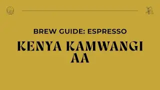 Brew Guide - Kenya Kamwangi AA Espresso